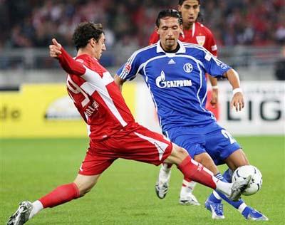 他们如同 他们如同